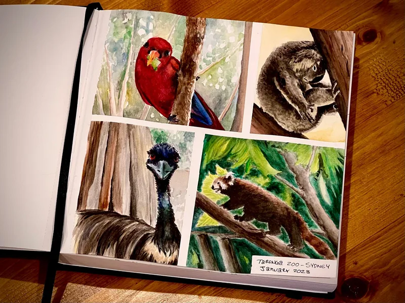 Traditional Artwork - Toronga Zoo